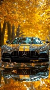 auto gris y amarillo